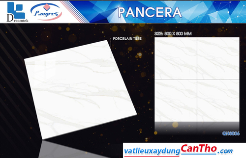 Pancera QH 8006